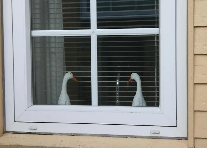 Nustrup Bed & Breakfast Vojens